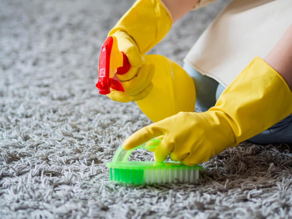 Houston homeowner cleaning a moldy carpet