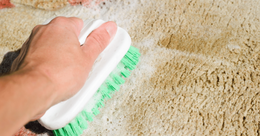 how to get mold out of carpet​