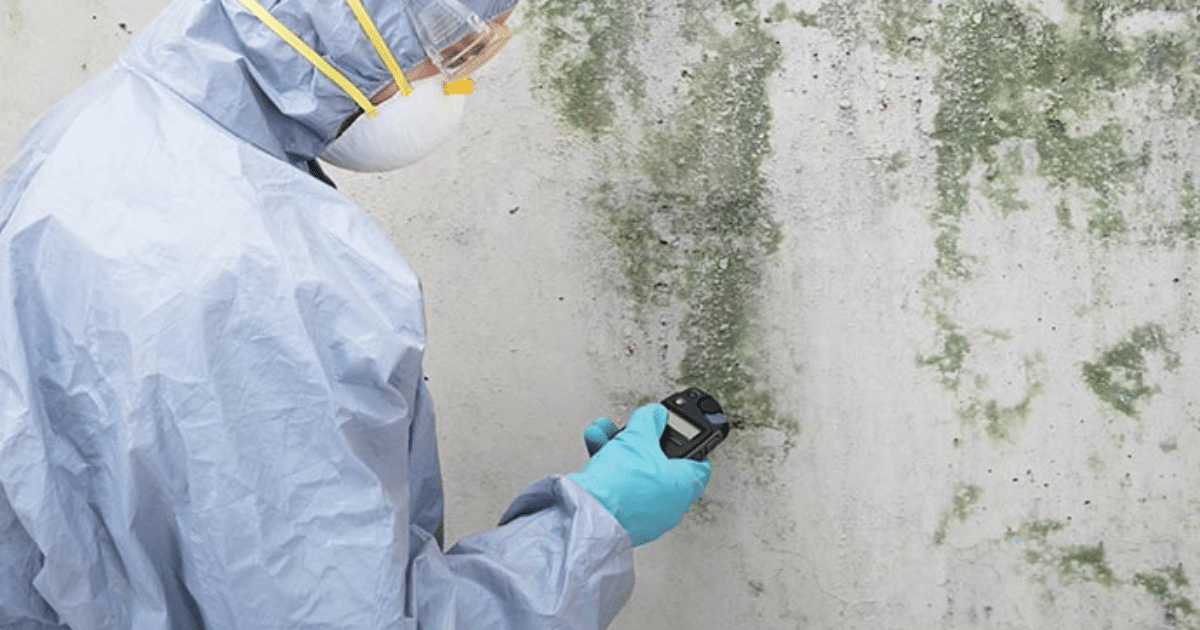 how to test for mold toxicity