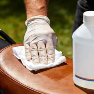 Cleaning mold off leather using rubbing alcohol and a soft cloth