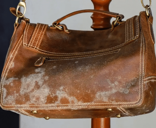mold growth on a brown leather handbag from storage in a humid Houston closet