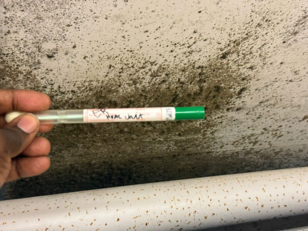 Mold testing