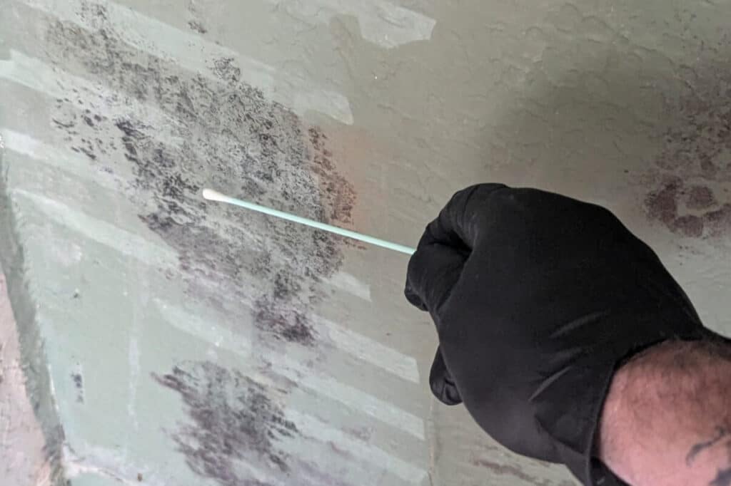 collecting mold samples from indoor wall