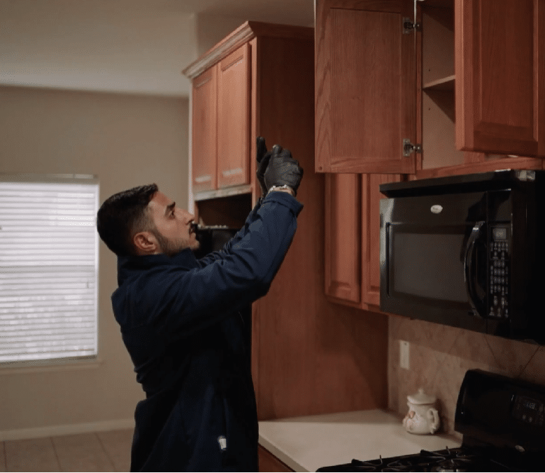 mold inspection and testing houston