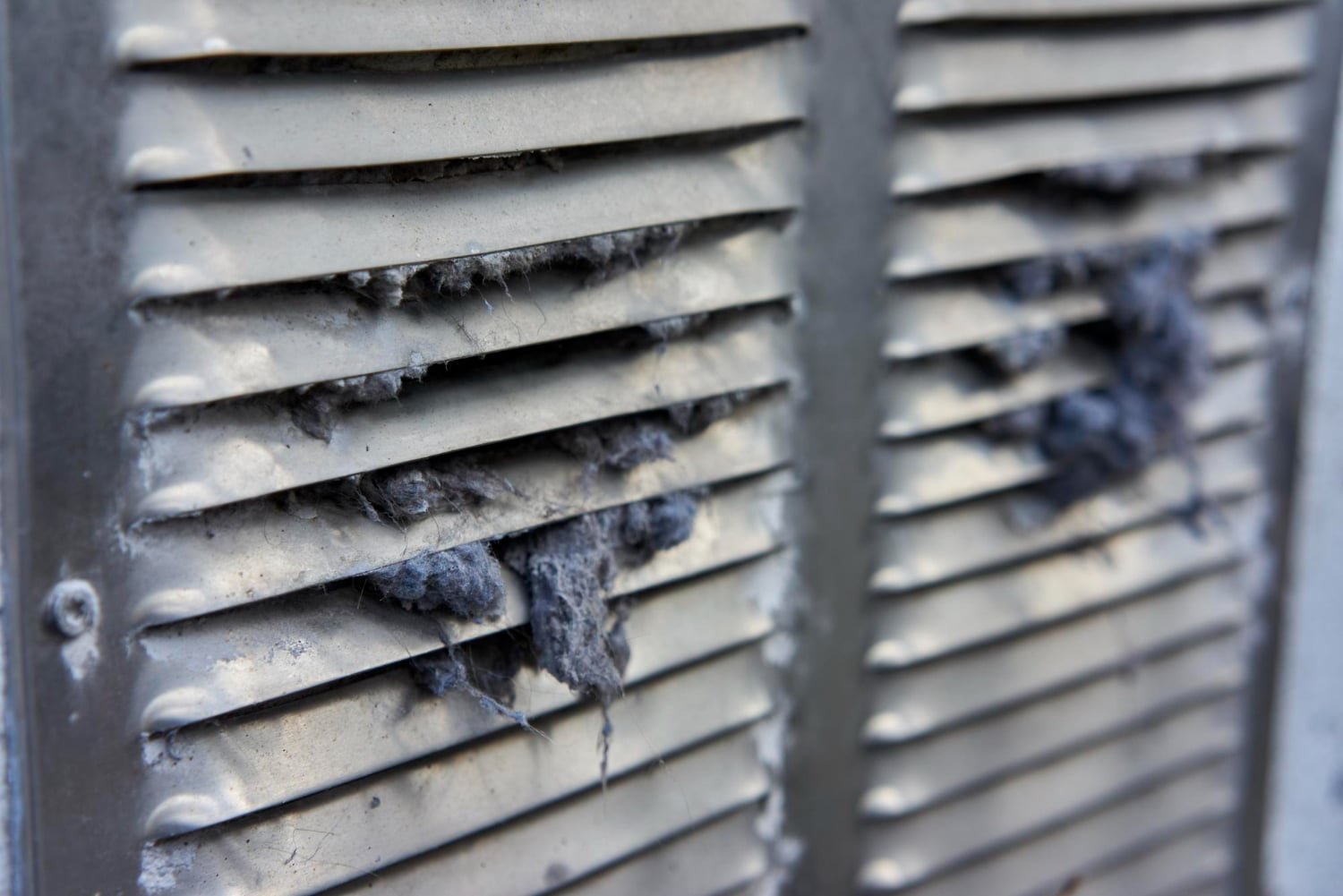 Ventilation system that's covered in mold growth