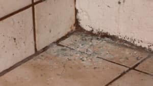 slab leak mold in a residential bathroom