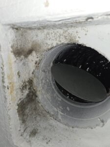 Air duct with visible mold spread