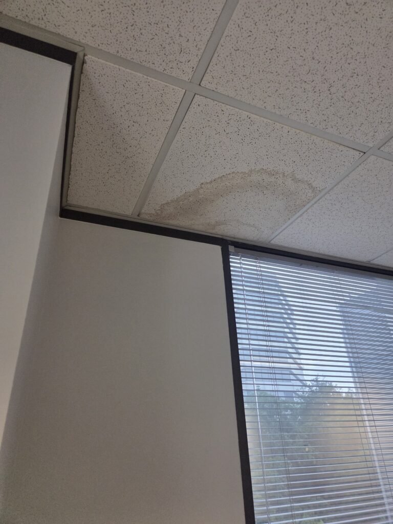 Discoloration on a ceiling panel near an exterior window in a Houston office
