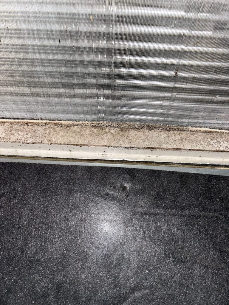 Live mold on an indoor ac unit