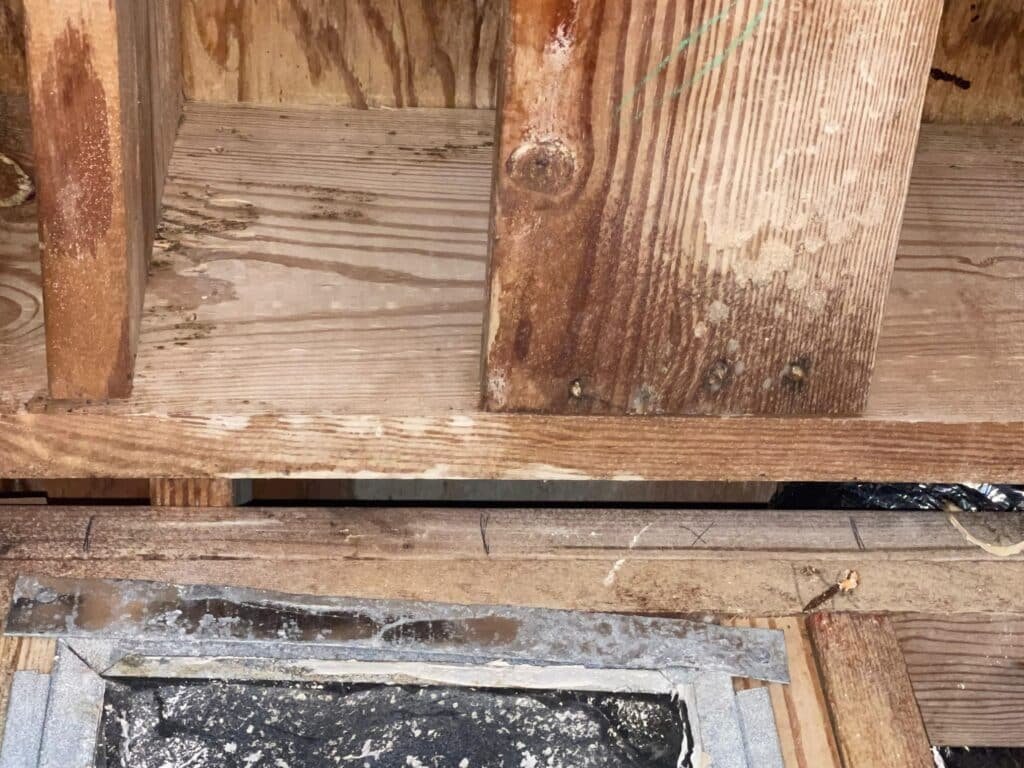 Framing member inspected during a mold assessment after a water leak