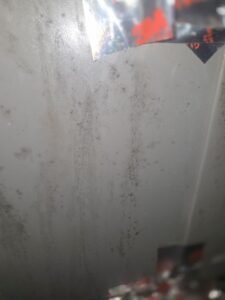 Mold spotting on an air handler cabinet panel in a Pearland, TX home