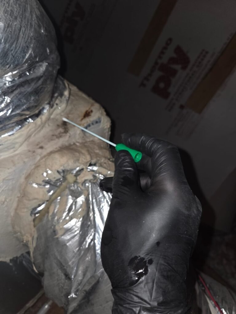 Swab sample taken at an attic duct connection during a mold inspection in a Pearland home